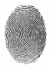 A Clear Fingerprint Image