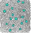 500 DPI Fingerprint Image